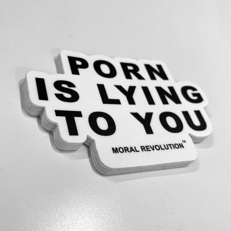 Porn is Lying To You - Sticker Pack (10)
