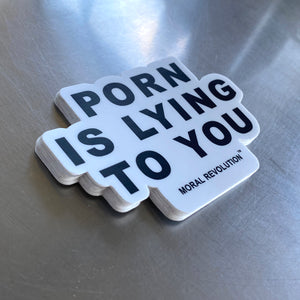 Porn is Lying To You - Sticker Pack (10)
