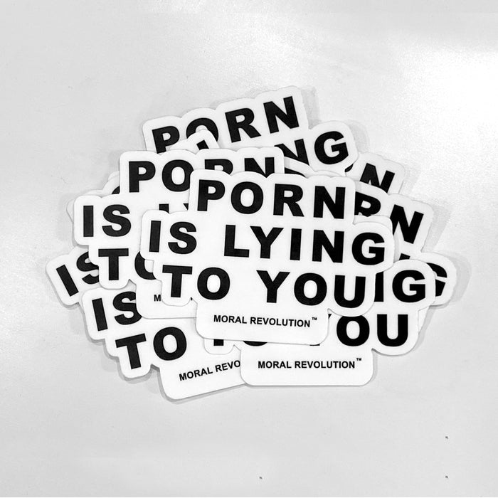 Porn is Lying To You - Sticker Pack (10)