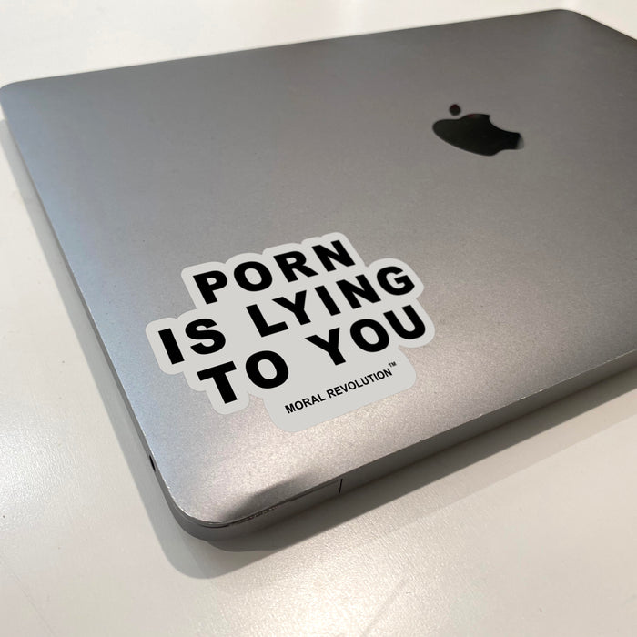 Porn Is Lying To You - Sticker