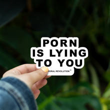 Porn Is Lying To You - Sticker