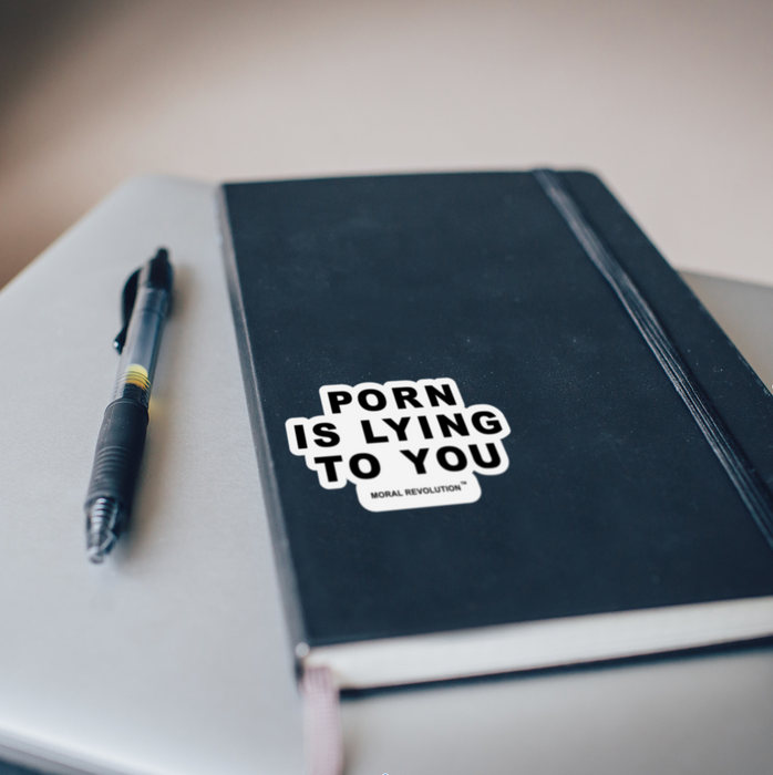 Porn Is Lying To You - Sticker